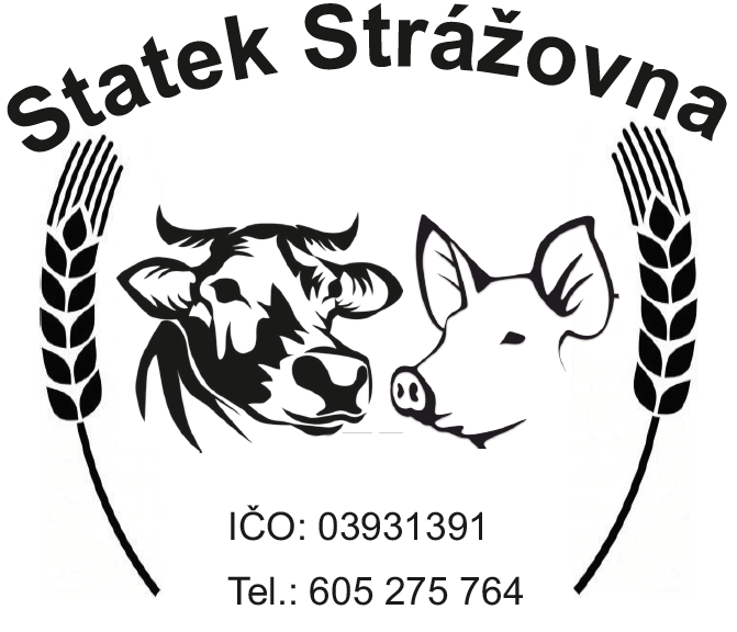 Statek Strážovna